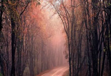 球员状态火爆，成绩稳坐榜首