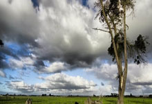 南安普顿主场遗憾失利，保级压力加大