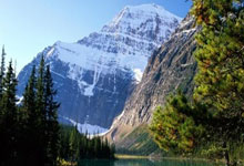 斯图加特在主场比赛中击败对手取得胜利