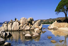 球员状态火爆，成绩稳坐榜首