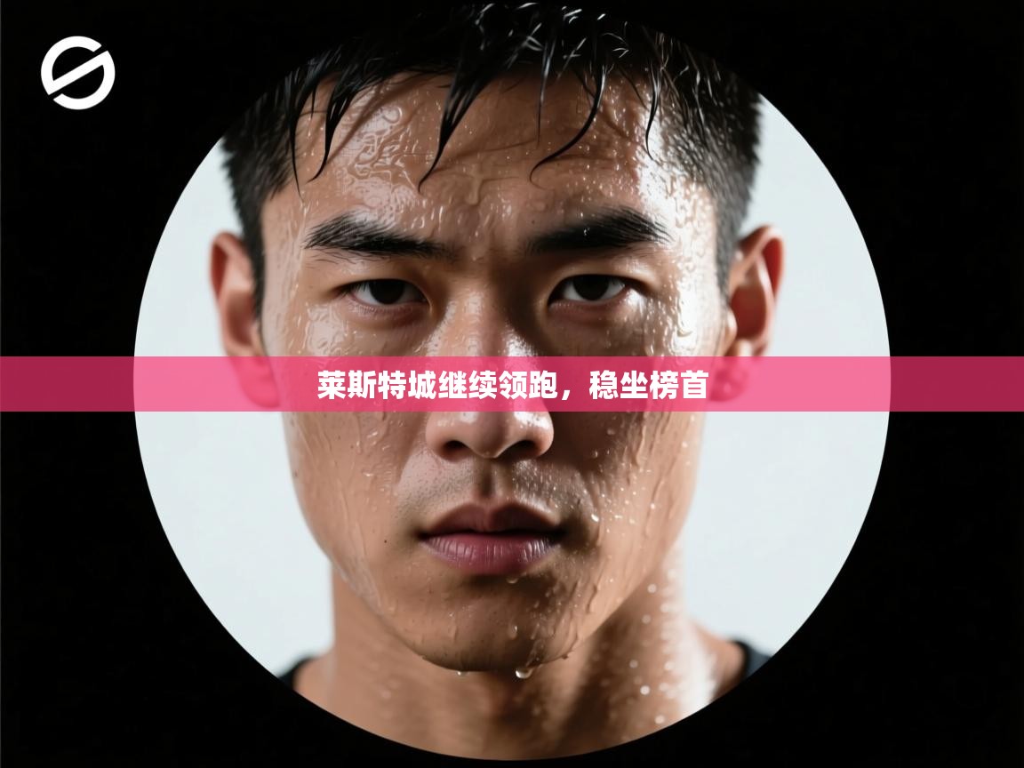 莱斯特城继续领跑,稳坐榜首 第2张