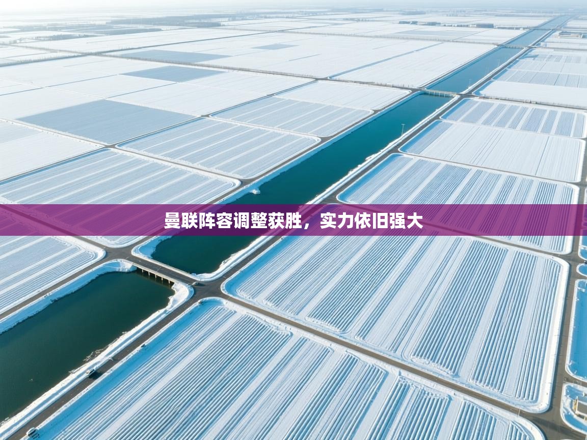 曼联阵容调整获胜，实力依旧强大