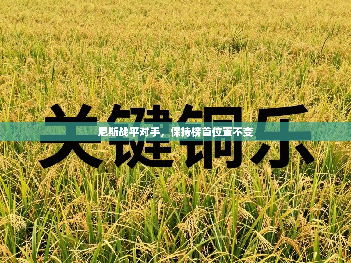 尼斯战平对手，保持榜首位置不变