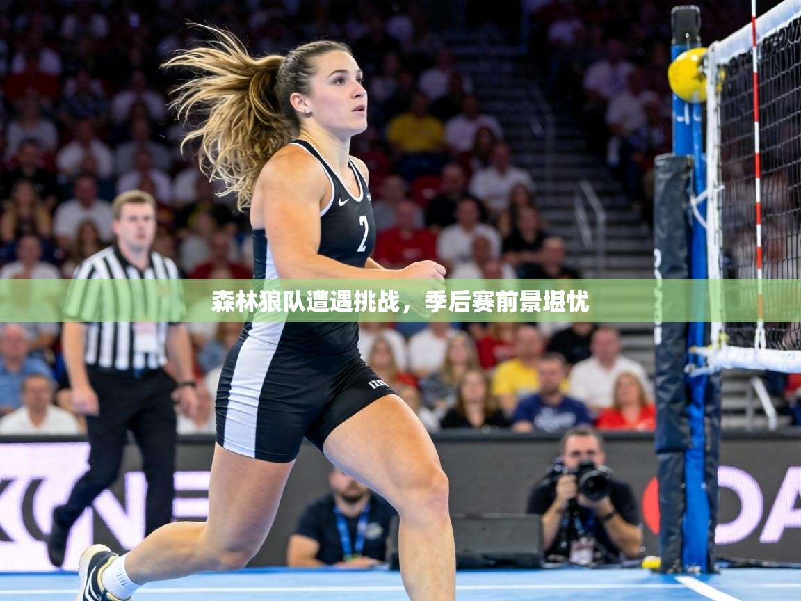 森林狼队遭遇挑战，季后赛前景堪忧
